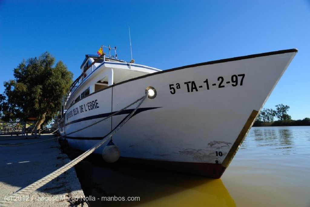 El Delta del Ebro
Indicadores
Tarragona