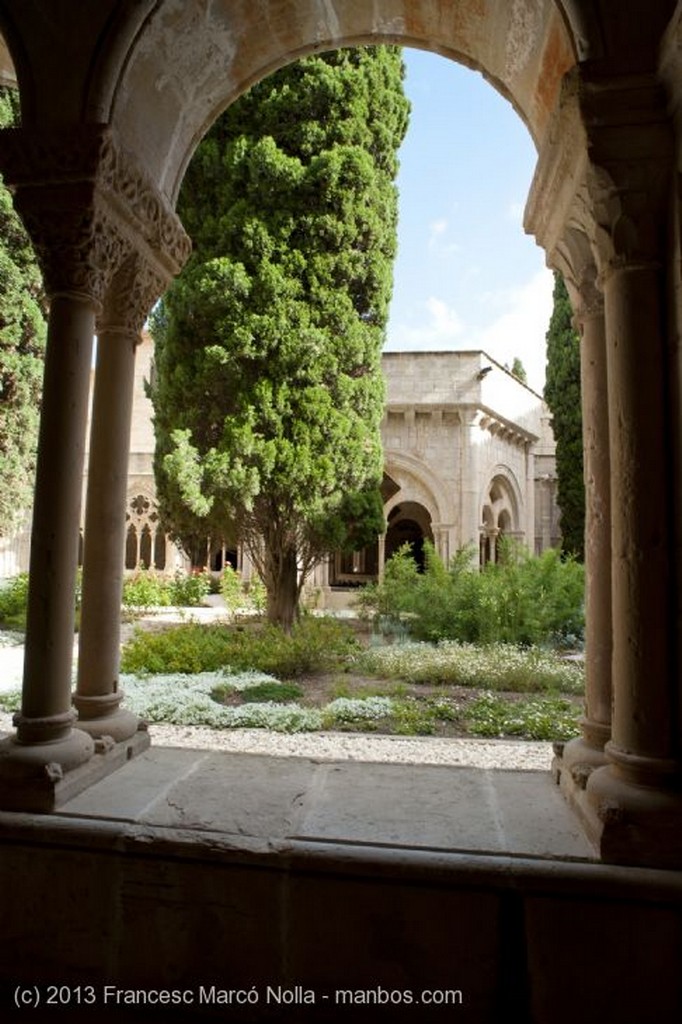 Monasterio de Poblet
Monasterio de Poblet
Tarragona