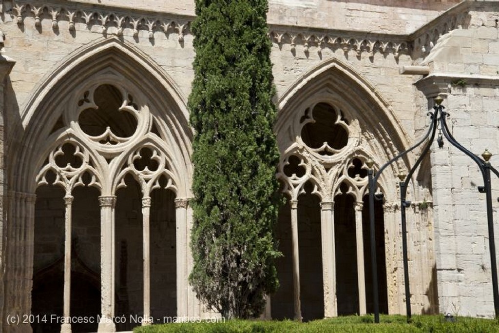 Vallbona de les Monges
Monasterio Vallbona de les Monges
Lerida