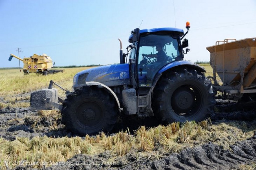 El Delta del Ebro
Bien Protegido Bajo el Sol
Tarragona