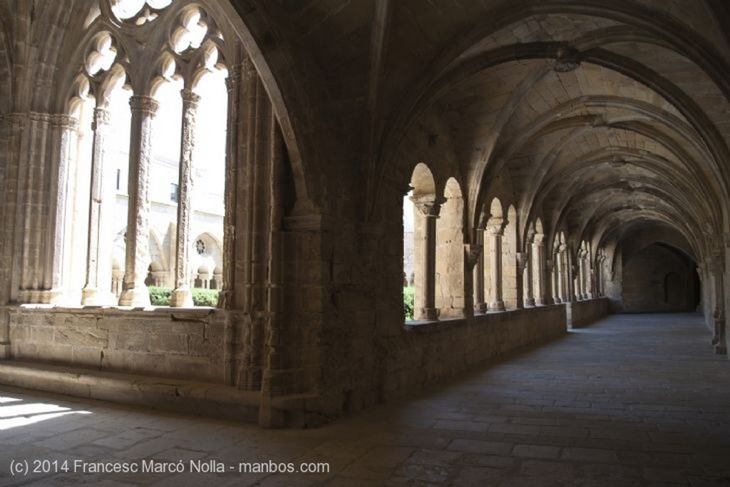 Vallbona de les Monges
Monasterio Vallbona de les Monges
Lerida