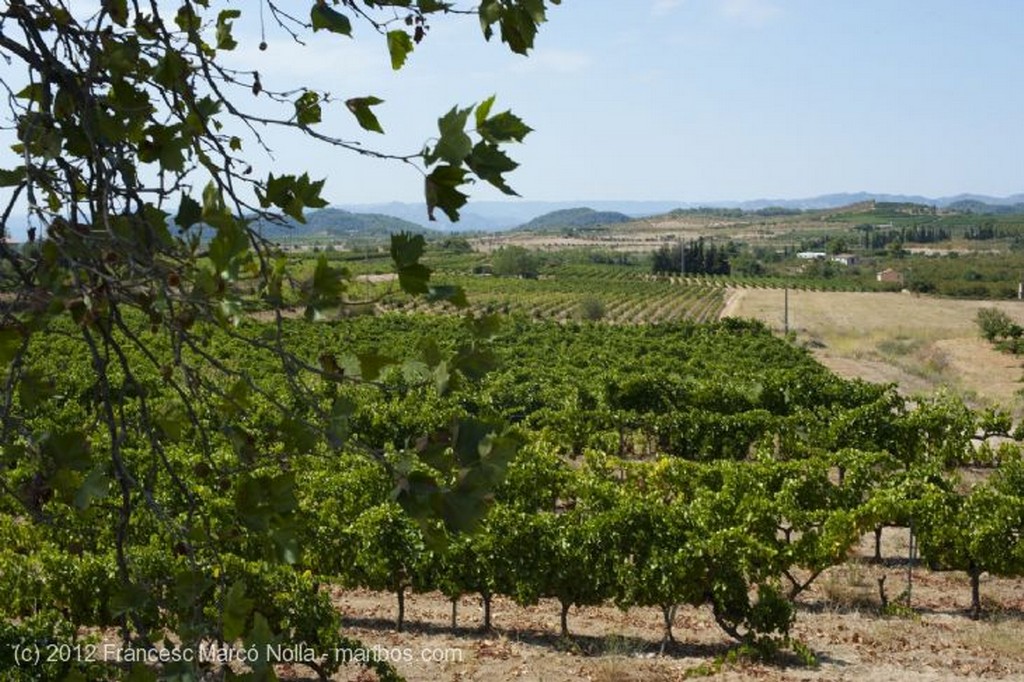 El Priorato
Maduradas Bajo el Sol
Tarragona