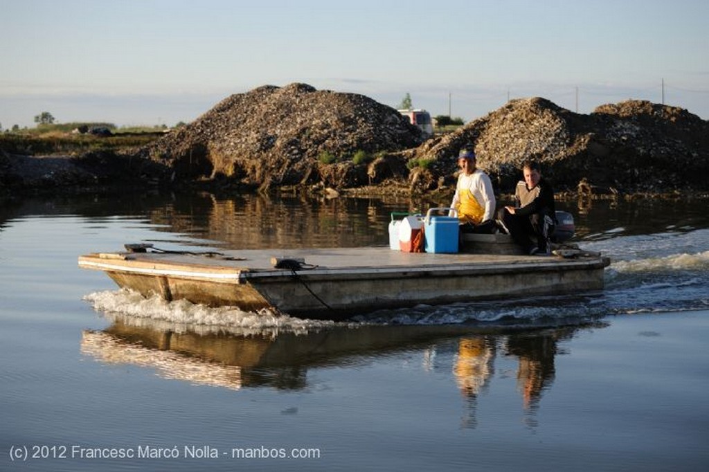 El Delta del Ebro
Las Bateas de Marisco de la Bahia del Fangar
Tarragona