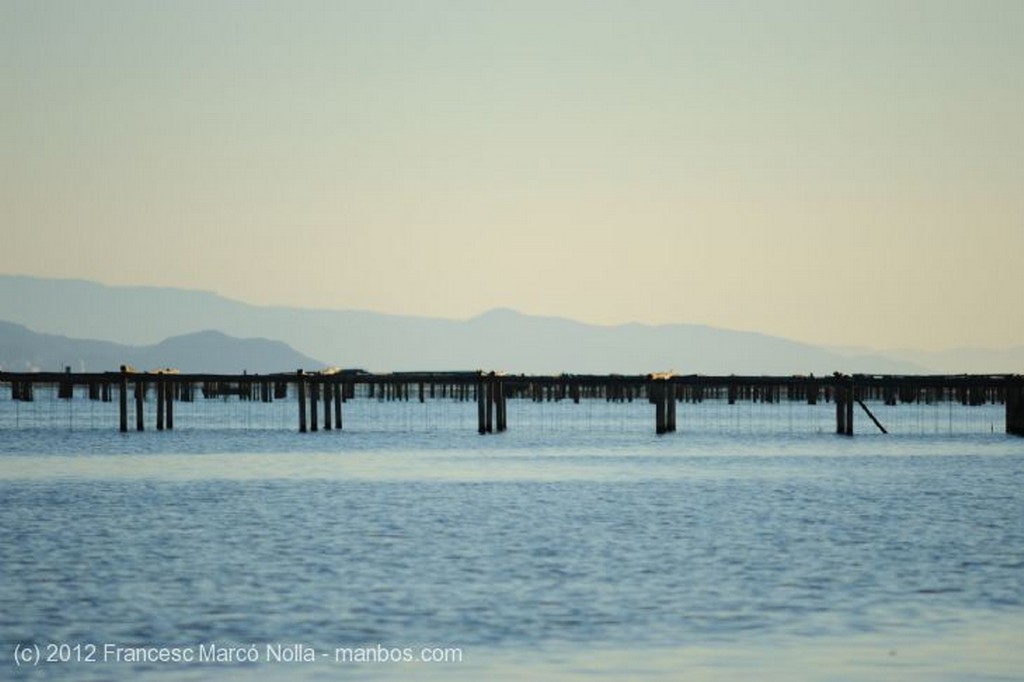 El Delta del Ebro
Dos Viejas Barcas
Tarragona