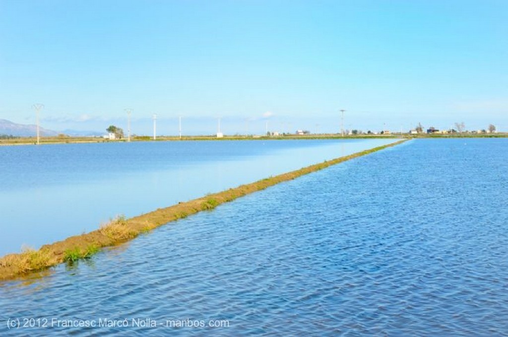 El Delta del Ebro
Las Masias del Delta del Ebro
Tarragona