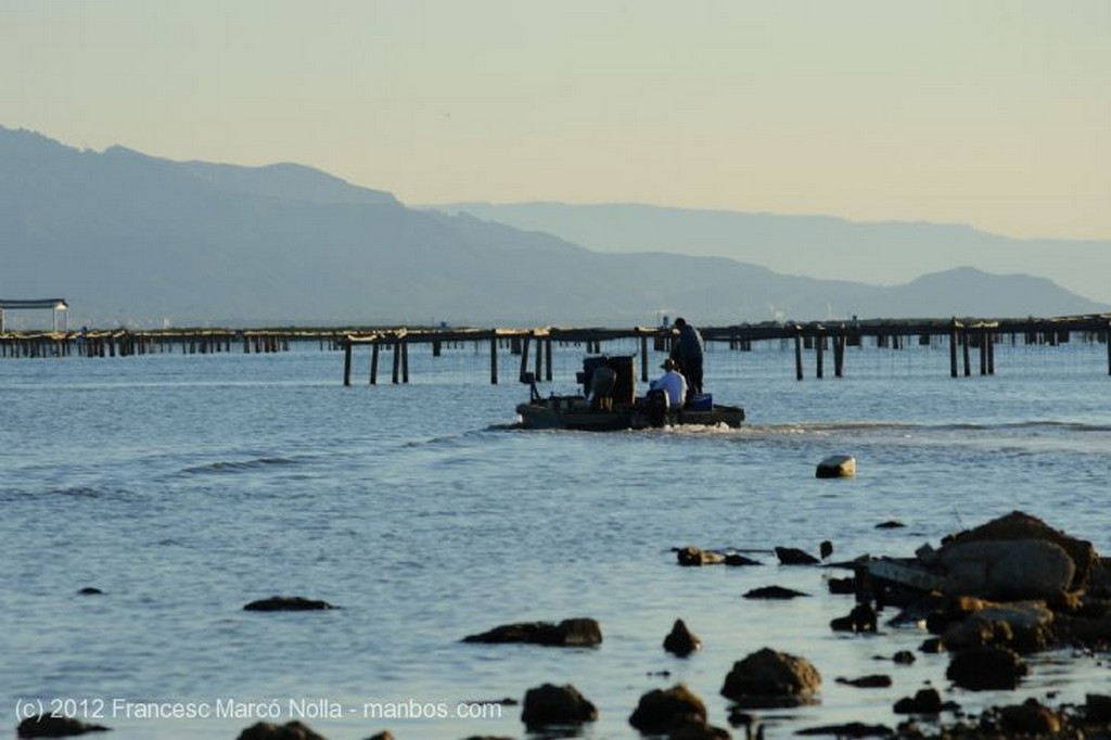 El Delta del Ebro
Joven Pescador en la Playa de la Marquesa
Tarragona