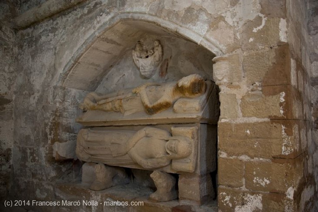 Vallbona de les Monges
Monasterio Vallbona de les Monges
Lerida