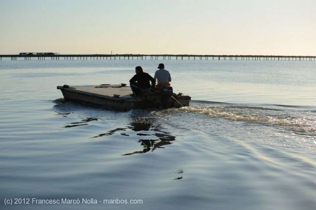 El Delta del Ebro
Hacia las Bateas de Marisco del Fangar
Tarragona