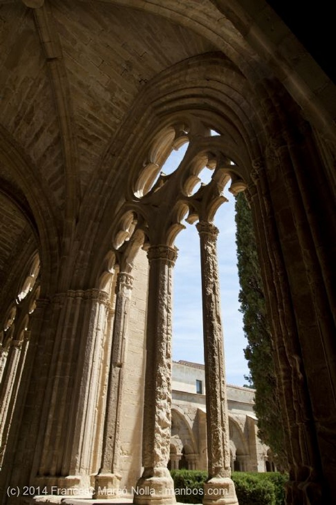 Vallbona de les Monges
Monasterio Vallbona de les Monges
Lerida