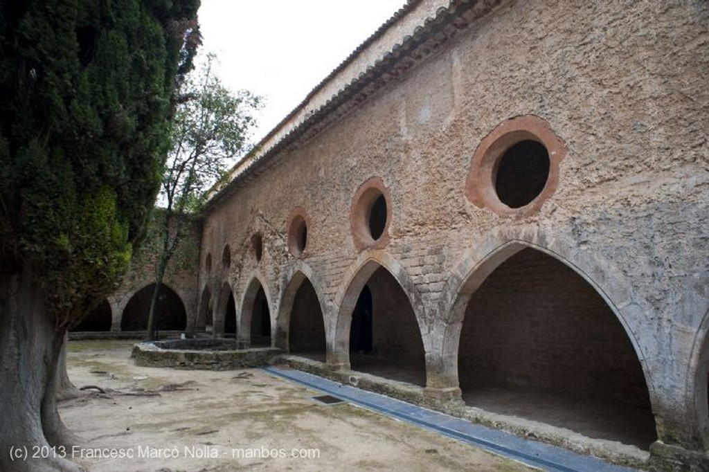 Monasterio de Santes Creus
Monasterio Santes Creus
Tarragona