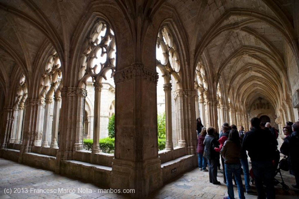 Monasterio de Santes Creus
Monasterio Santes Creus
Tarragona