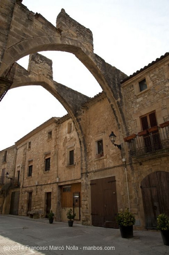 Vallbona de les Monges
Vallbona de les Monges
Lerida