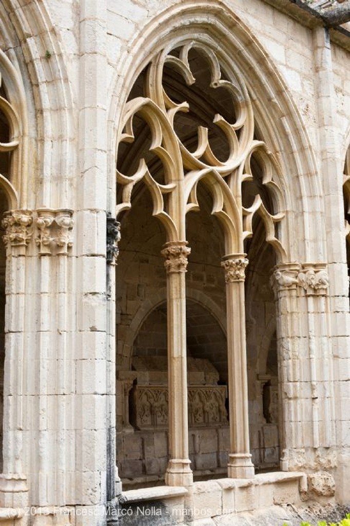 Monasterio de Santes Creus
Monasterio Santes Creus
Tarragona