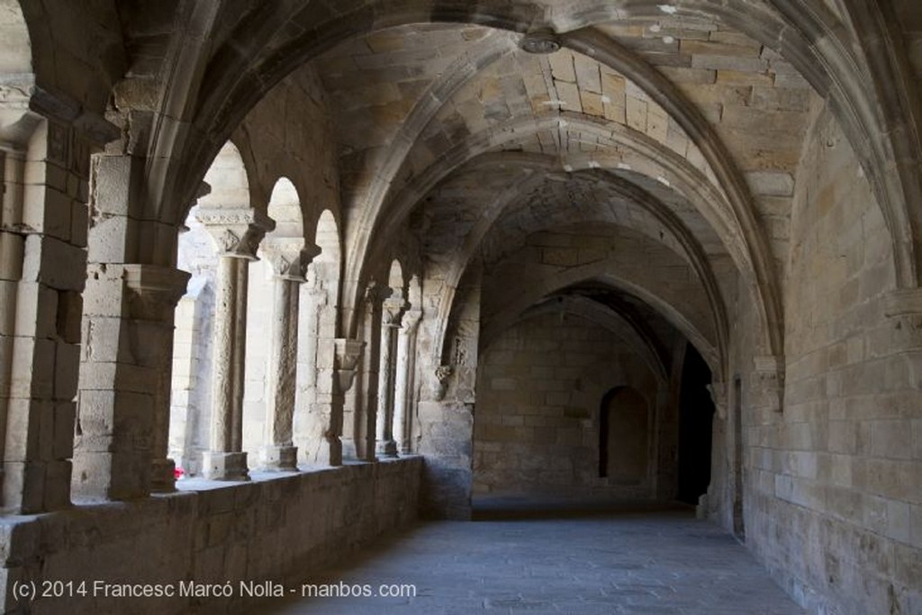 Vallbona de les Monges
Monasterio Vallbona de les Monges
Lerida