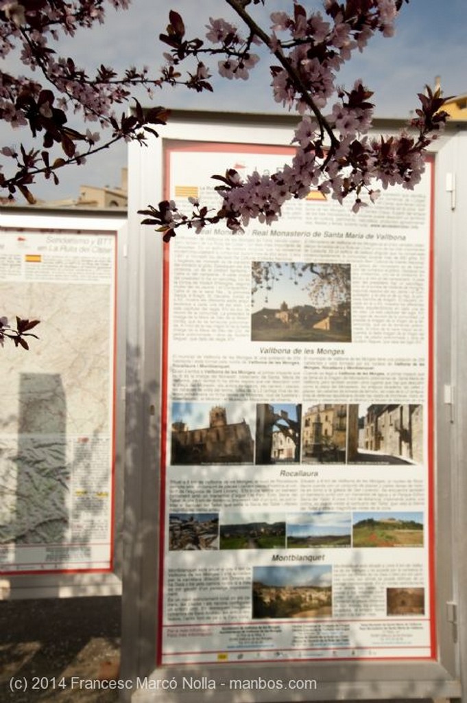 Vallbona de les Monges
Memorial Guerra Civil
Lerida