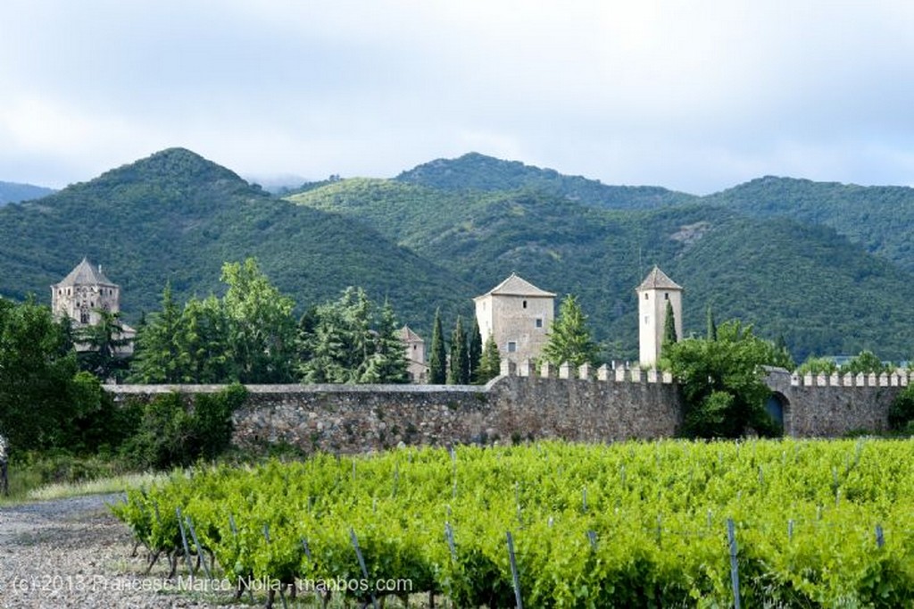 Monasterio de Poblet
Monasterio de Poblet
Tarragona