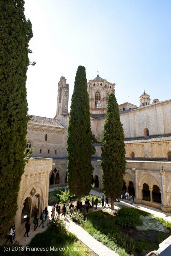 Monasterio de Poblet
Monasterio de Poblet
Tarragona