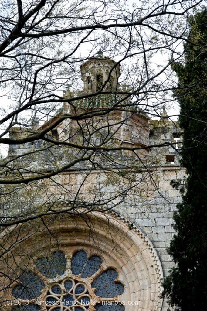 Monasterio de Santes Creus
Monasterio Santes Creus
Tarragona