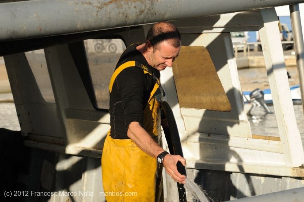 El Delta del Ebro
Los Arrozales Inundados Despues de la Siega
Tarragona