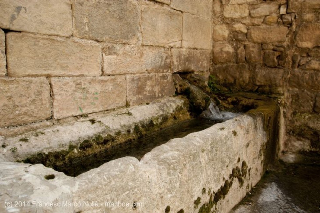 Vallbona de les Monges
Vallbona de les Monges
Lerida