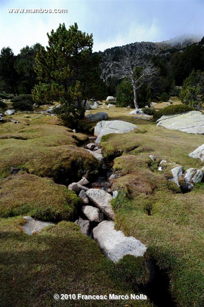 Cerdanya
Malniu  bosques 
Gerona