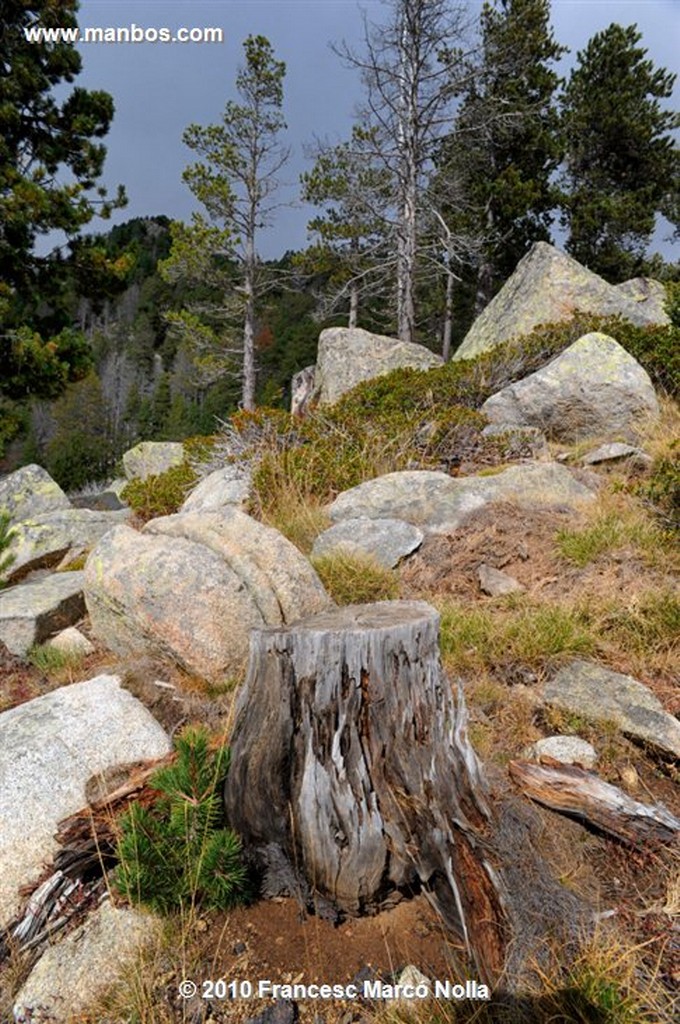 Cerdanya
Malniu  el Lago Ii 
Gerona