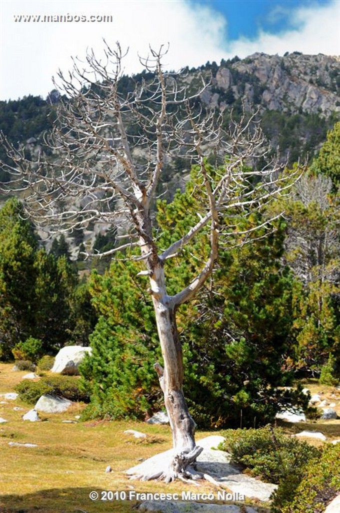 Cerdanya
Malniu el Lago I 
Gerona