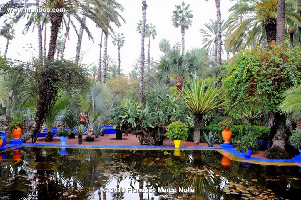Marruecos 
jardines majorel-marrakech
Marruecos 