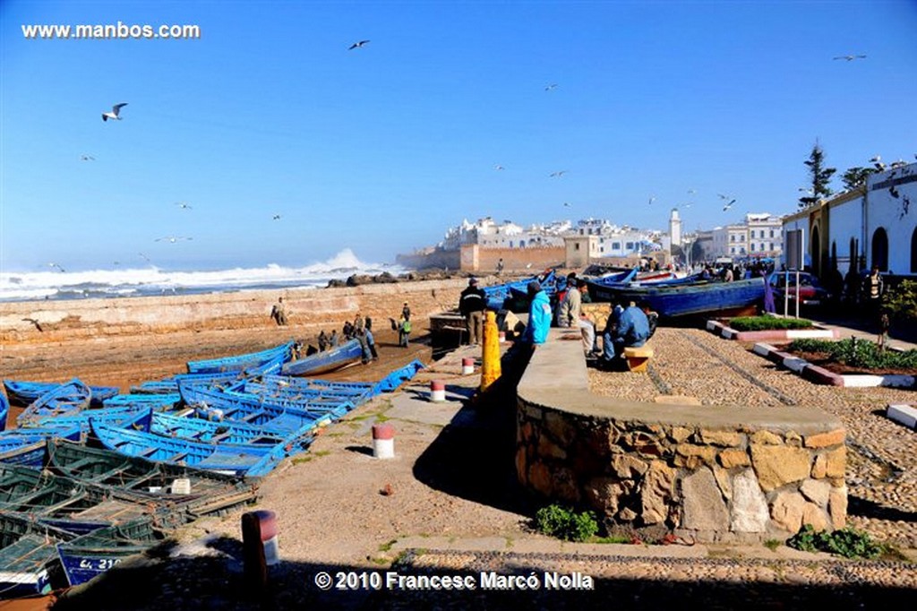 Marruecos 
panoramica curiosa-esaouira
Marruecos 