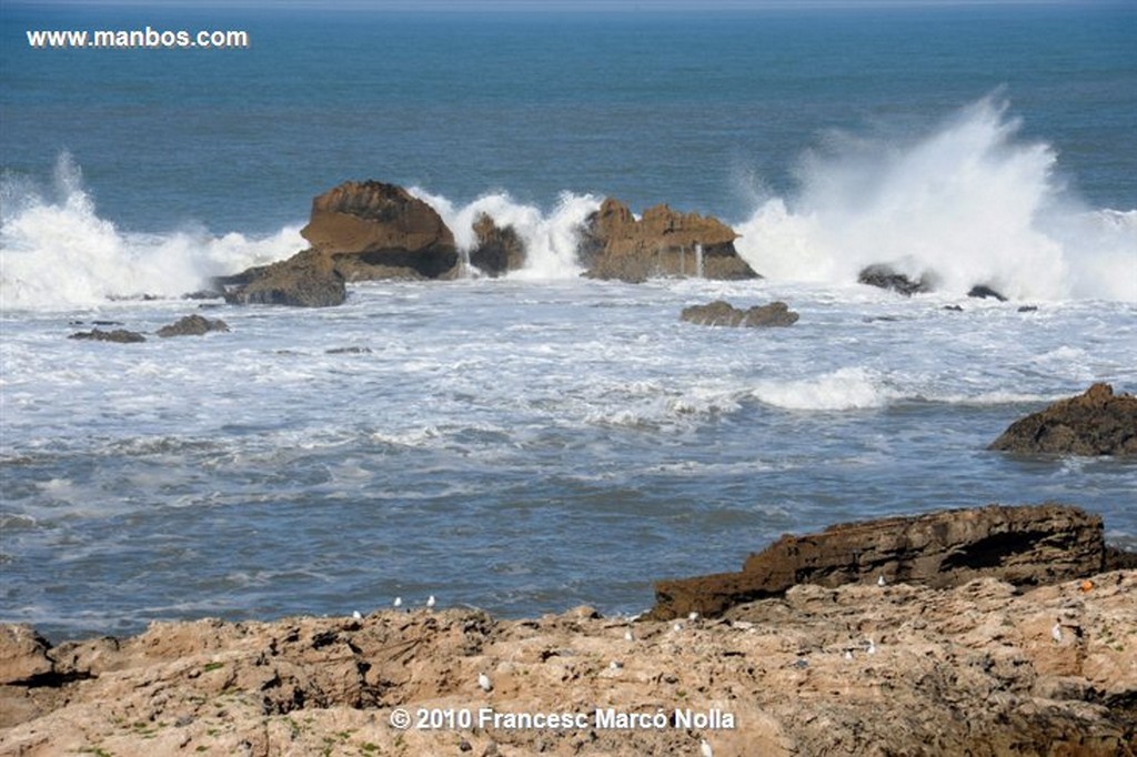 Marruecos 
tragaluz- esaouira
Marruecos 