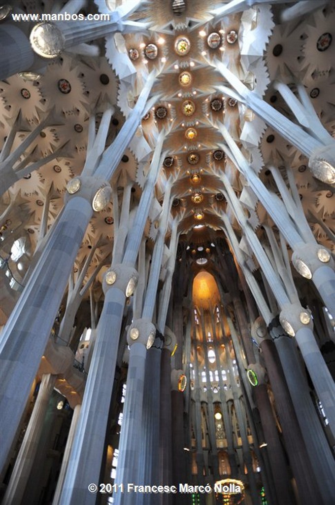 Barcelona 
Basilica de la Sagrada Familia
Barcelona 