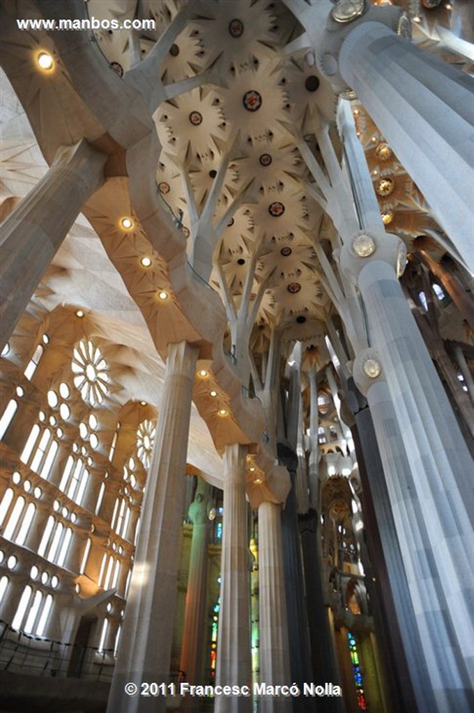 Barcelona 
Basilica de la Sagrada Familia
Barcelona 