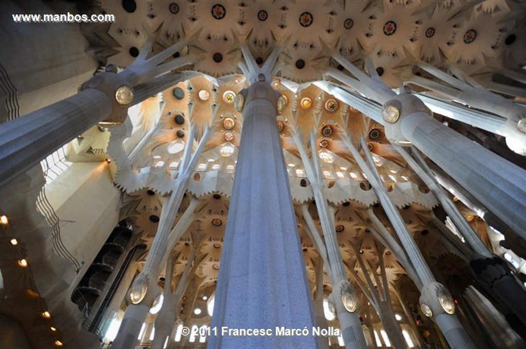 Barcelona 
Basilica de la Sagrada Familia
Barcelona 