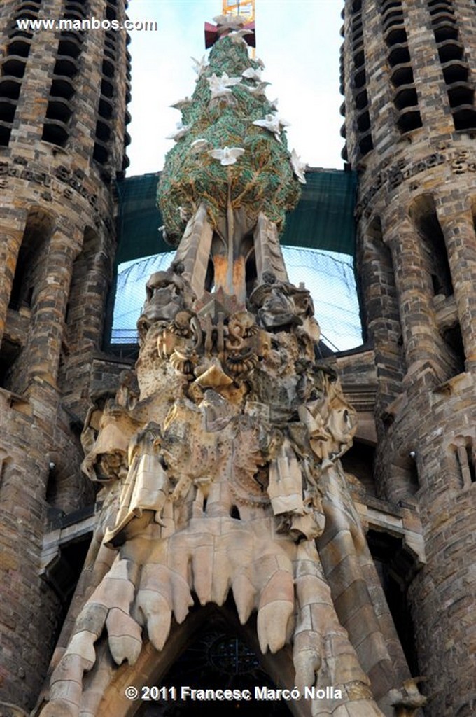 Barcelona 
Basilica de la Sagrada Familia
Barcelona 