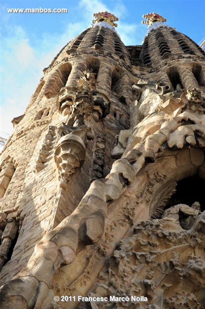 Barcelona 
Basilica de la Sagrada Familia
Barcelona 