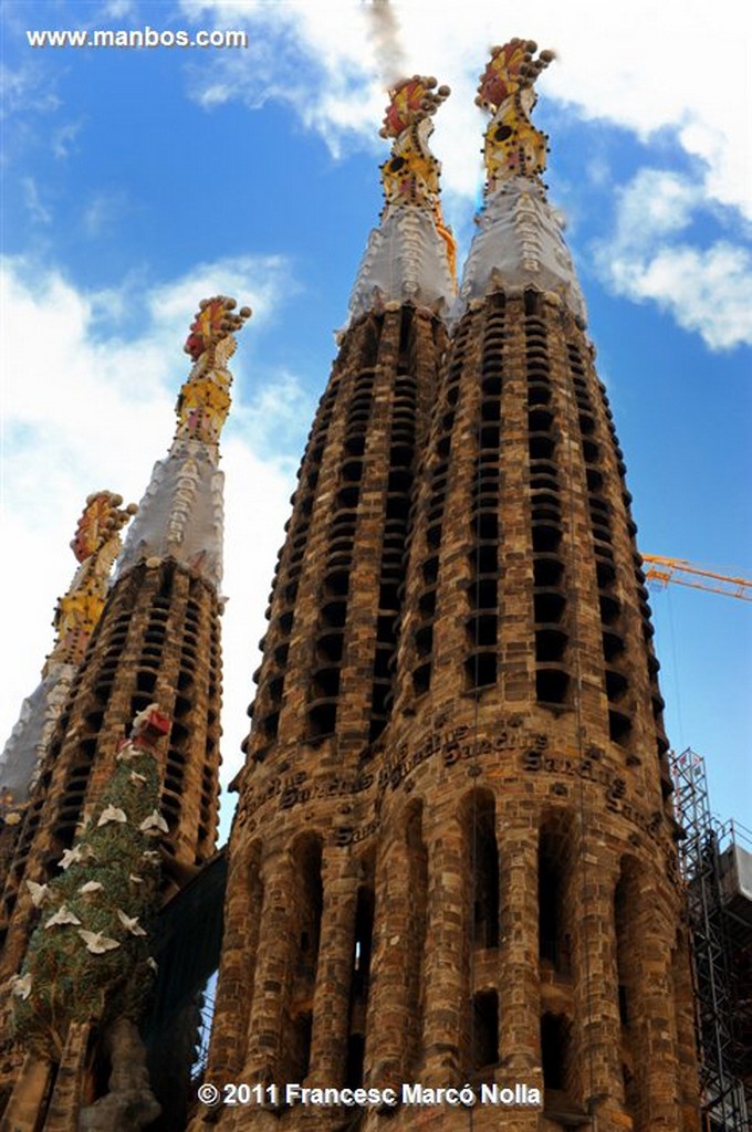 Barcelona 
Basilica de la Sagrada Familia
Barcelona 