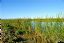 El Delta del Ebro
Laguna La Tancada
Tarragona