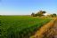 El Delta del Ebro
Los Arrozales del Delta
Tarragona