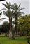 Marruecos 
jardines la palmeraie-marrakech
Marruecos 