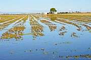 Delta del Ebro, El Delta del Ebro, España