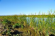 Parque Natural Delta del Ebro, El Delta del Ebro, España