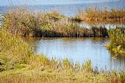 Parque Natural Delta del Ebro, El Delta del Ebro, España