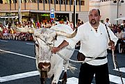 Desfile y Parada de Armas, Tortosa, España