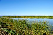 Parque Natural Delta del Ebro, El Delta del Ebro, España