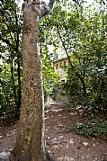 Aiguamurcia, Monasterio de Santes Creus, España