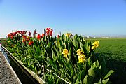 Delta del ebro, El Delta del Ebro, España