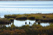 Parque Natural Delta del Ebro, El Delta del Ebro, España