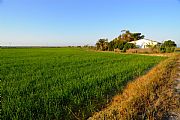 Delta del Ebro, El Delta del Ebro, España