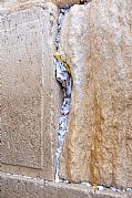 Muro de las Lamentaciones Jerusalen, Jerusalen, Israel