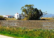 Delta del Ebro, El Delta del Ebro, España